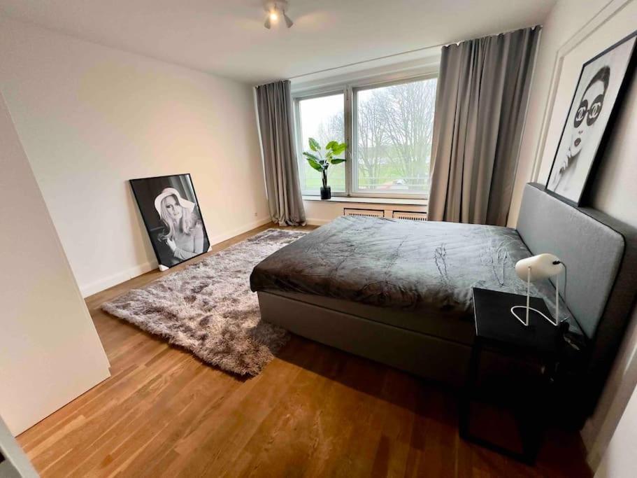 Apartment Spectecular Rhineview Fair Parking Luxury 12 Pers Düsseldorf