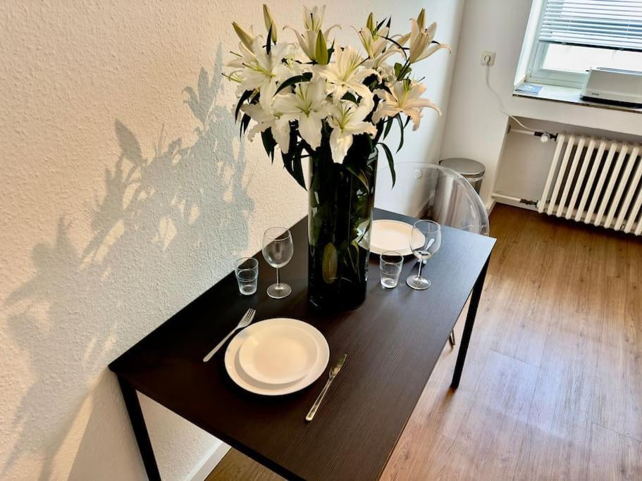 Apartment Spectecular Rhineview Fair Parking Luxury 12 Pers *