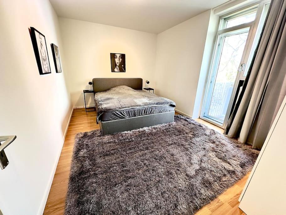 Spectecular Rhineview Fair Parking Luxury 12 Pers Düsseldorf